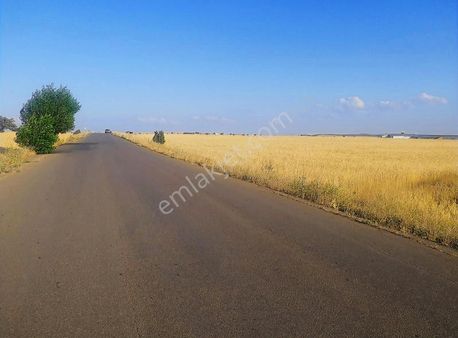 Porsuk Köyünde Satılık Tarla