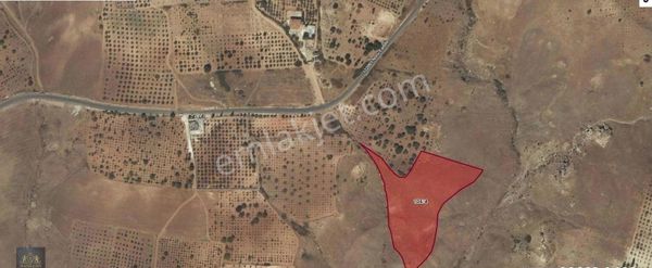 Hanedan Gyo'dan Sarıbaşakta Yatırımlık Fırsat Arazi