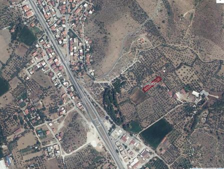 Milas Selimiyede Satılık 1536 M2 Bağ