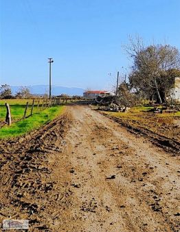 Satılık 2050 M2. Elektrik Ve Suyu Mevcut Tarla