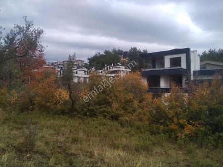 İda Kaan Emlaktan İmar Dibi Zeytinlik