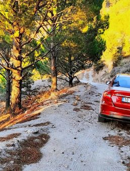 Hobi Bahçesine Uygun Yatırımlık!