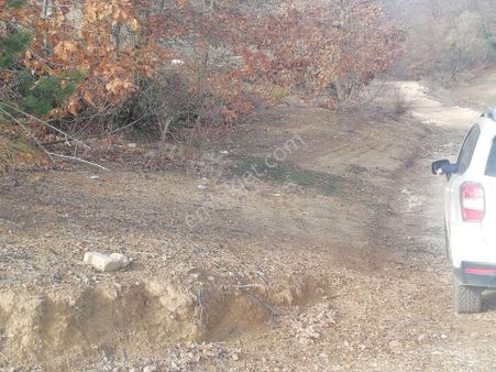 Bursa Kestel Sevketıyede Satilik Hobı Bahcelerı