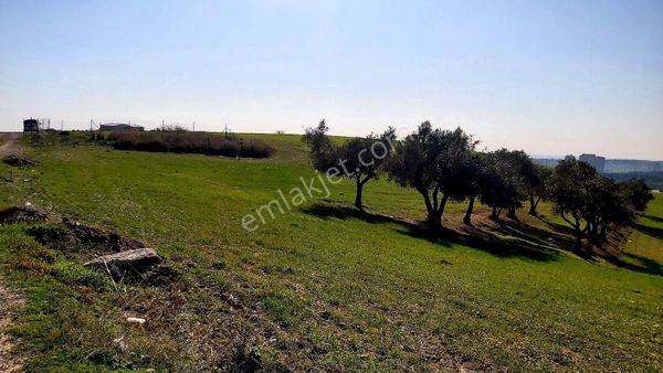 Adana Çukurova Kabasakal 253m² Villa İmarlı Arsa-bulvara Yakını Yüksek Konumlu