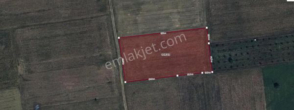 Trenday Emlak'tan Bozüyük Kandilli Köyü Satılık 5663 M2 Tarla