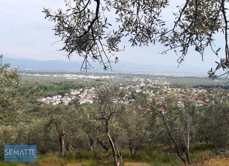 Edremit Zeytinli Köyünde Deniz Manzaralı Satılık Arsa 2095 M²