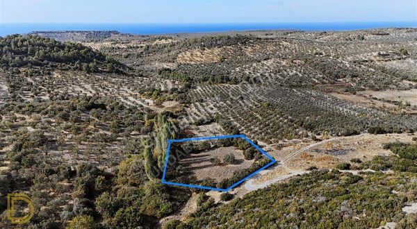 Çanakkale Ayvacık Gülpınar 2967 M2 Verimli Toprak Yatırımlık