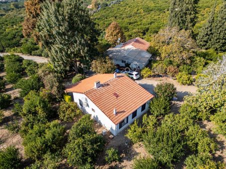 İzmir Gümüldür'de Emsalsiz Satılık Narenciye Bahçesi Ve Taş Evler