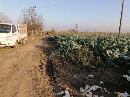 İzmir Torbalı Gold Emlaktan Satılık Kıymetli Tarla