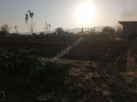 İzmir Torbalı Gold Emlaktan Satılık Tarla