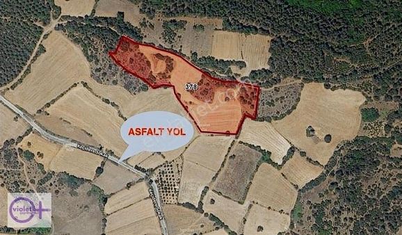 Violetten Balıkesir Kepsutta Satılık Tarla