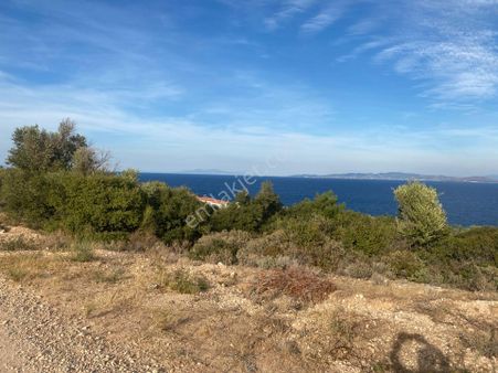 Karaburun Anbersekide Deniz Manzaralı 14 Dönüm Arazi