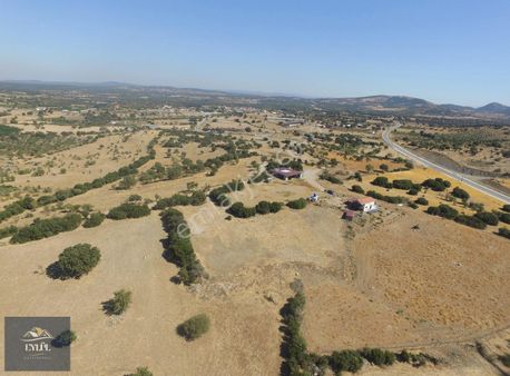 Ezine / Geyikli - Kemallı Köyünde Satılık Tarla