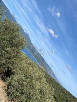 Bandırma İlkim Gayrimenkul Edincik Mah. Full Deniz Manzaralı Satılık Zeytinlik