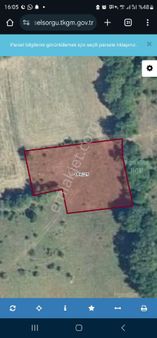 Bolu Sazakkinik Hobi Bahcesi