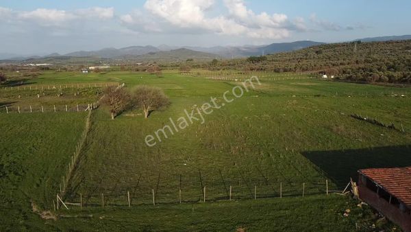 Ön Emlak'tan Burhaniye Ağacık Köyünde 3.405 M2 Satılık Tarla