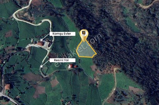 Trabzon Of’da Satılık Gelir Getiren Verimli Çay Bahçesi