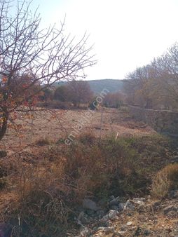 Karakuzu Köyü Çıkışında Birisi 6500 M2 Dönüm Diğeri 10500m2 Toplamda 17 Dönüm Dür