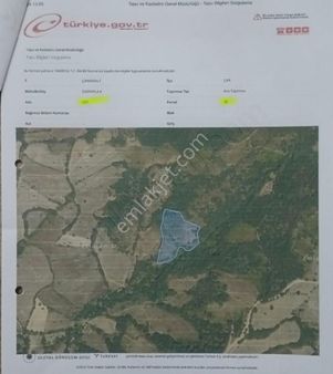 Çan Eskiyayla Mevkii Tarla