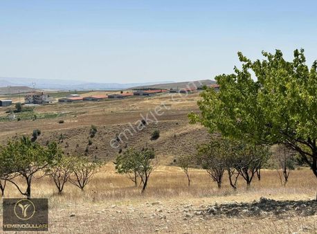 ~yemenogulları Emlak~karalar Mah. Kazan Manzaralı Tek Tapu Tarla