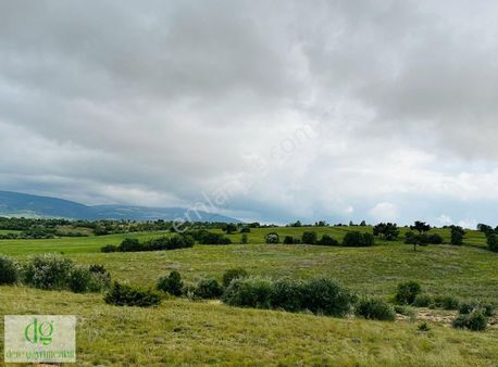 Konya Ilgında 10 Dönüm Uygun Yatırımlık Fırsat Tarla