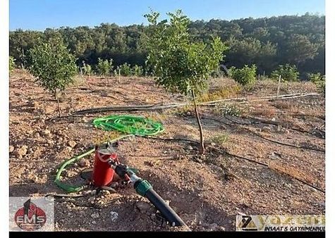 Mersin Silifke Demircili Ky.de Satılık Tarla+2+1 Ev