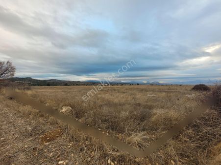 Burdur Merkez Kozluca'da Satılık Takasa Açık 4500 M2 Tek Tapu Arazi