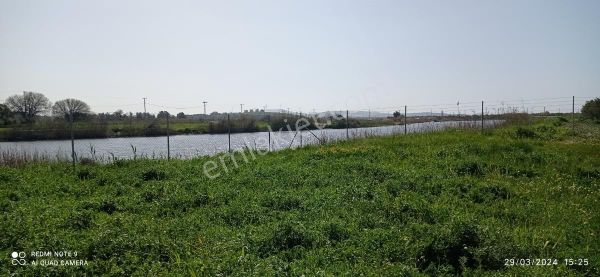 Aliağa Çaltılıdere De Denize Sıfır Kooperatif Hissesi