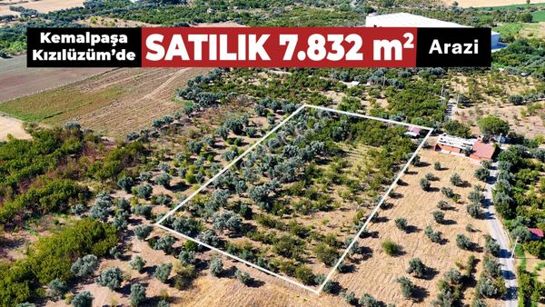 Kemalpaşa Kızılüzüm Satılık 7.832 M2 Bağ