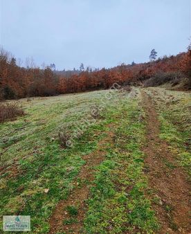 Çanakkale Çan Dondurma Köyü Kupon Arazi