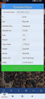 Söz Gayrimenkulden; Karapınarda Bakımlı Zeytinlik