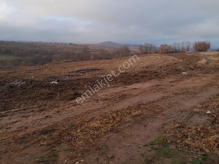 Kirklareli Pınarhisar Kurudere Köyü Yolu Suyu Olan Orman Manzaralı Tarla