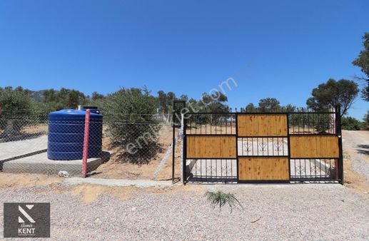 Kemalpaşa Çambel Satılık Bahçe 1.528 M2