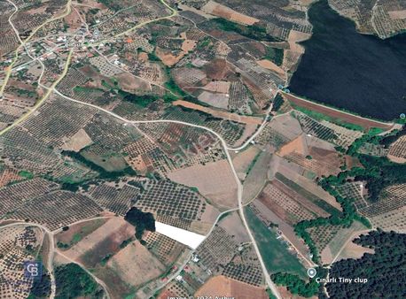 Bursa Mudanya Çınarlı'da Yola Cephe Göle Yakın Tarla