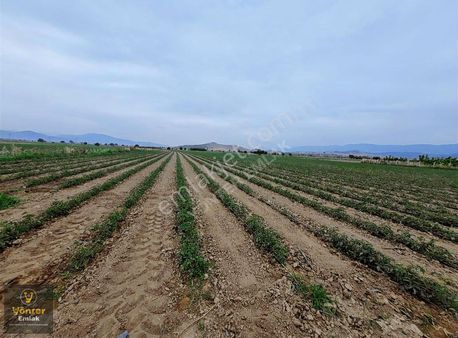 Yönter Emlaktan Su Ve Elektriği Olan Tokatbaşı Ovasında Tarla