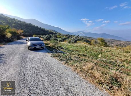 Yönter Emlaktan Akçaşehir Köyünde 3.698 M² İncir Bahçesi