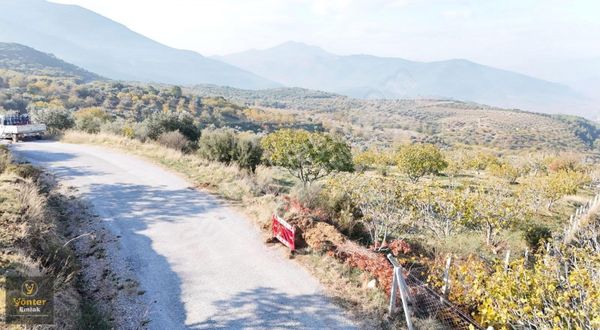 Yönter Emlaktan Akçaşehir Köyünde Tek Tapu İncir Bahçesi