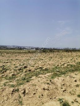 Burdur Karamanlı Klavuzlar Da 1387m2 Tarla 155.000tl