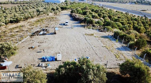Ç.kale Yoluna Yakın Yatırımlık 8.300 M² Satılık Zeytinlik
