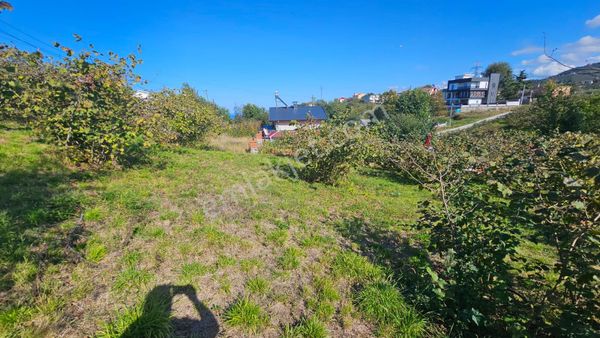 Akyazı Konak'da Sahile Yakın Lokasyonda Satılık Arsa