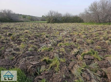 Aliağa, Kalabak Çoraklar Yolu Üzeri Tek Tapu 1 Dönüm Tarla