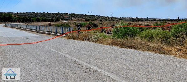 Aliağa Yeni Karaköy Girişinde Asfalt Yola Cephe 1/4 Hisse Tarla