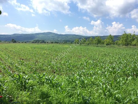 Yıldız Gayrimenkul'den Kaynarca Satılık Tarla