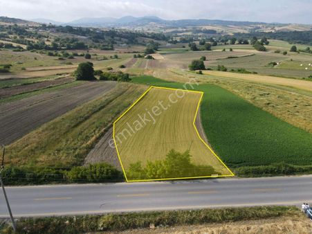 Kandıra Balcıda Kaynarca Asfalta Cephe Kupon Arazi