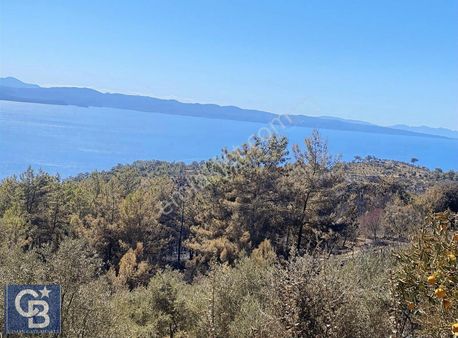 Selda Kozalı'dan Kıran Bölgesinde Deniz Manzaralı Satılık Arsa