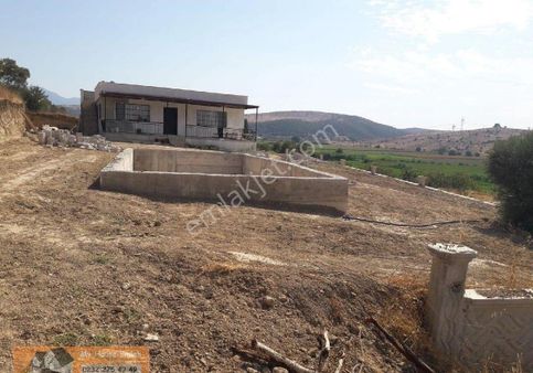 İzmir Tire Uzunburun Mevkisinde Satılık Zeytinlik