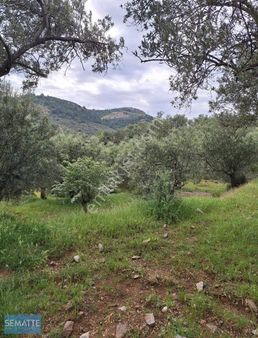 Satılık Arsa Havran Kalabak Köy İçinde 4910 M²