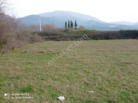 Dalaman'da Konut İmarlı 610 M2 Satılık Arsa