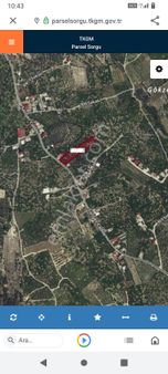 Çeşmeli Uygun 🍋 Limon Bahçesi