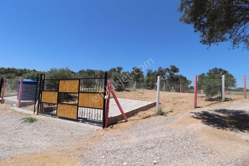 Kemalpaşa Çambel Satılık Bahçe 382 M2